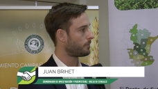 ¿Cómo fue la fórmula tecnológica de éxito en Trigo de los productores de punta?; con Juan Brihet