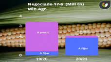 Maíz: ya estamos en 