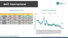 Maíz: El USDA confirmó una cosecha récord de Estados Unidos; con Catalina Ferarri - Clínica de Granos