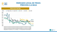 Trigo: Los precios locales e internacionales continúan a la baja; con Sofia Gayo - Clínica de Granos
