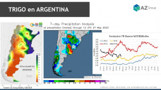 Trigo: con las lluvias llegan más hectáreas de siembra en nuestro país, con Lorena D´Angelo - Clínica de Granos