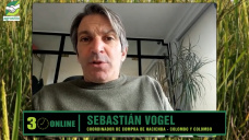 Ganadería: ¿hay chances que se acomoden los precios del consumo y la exportación?; con S. Vogel - consignatario 