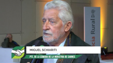 ¿Cuáles son los desacuerdos de Schiariti con la Mesa de las Carnes y con Macri?