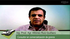 TV: ¿Cómo nos impacta el Reporte Trimestral del USDA en los mercados?; con A. Ruíz Guiñazú