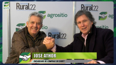 Cómo seleccionan y compran la mejor Hacienda los frigoríficos; con José Athor - Swift