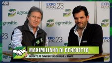 Cómo seleccionan la hacienda por peso y calidad para la Línea Black de Swift de carnes con M. Di Benedetto