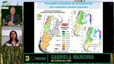Se activa el Dipolo del Índico, y un ENSO con condiciones Niña, ¿más lluvias?; con G. Marcora - clima SMN