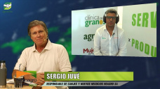 ¿Cual es la mejor estrategia de ventas de Maíz y Soja después de un USDA bajista?; con Sergio Juvé - Roagro