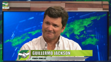 Nueva megatérmica de alta producción forrajera y adaptación a Ganadería pampeana; con G. Jackson - Pemán