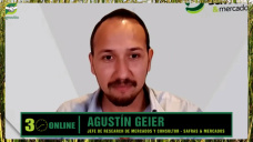 Granos 25/26: rindes firmes, mercados llenos, cómo vender bien y no regalar precio; con Agustín Geier - Safras & Mercados