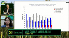 Niña debilitada, normalizándose el clima con lluvias en Febrero; con Verónica Anibalini - climatóloga