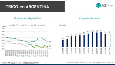Trigo: ¿llegaremos a las 6 mill. de ha.?, con Catalina Ferrari - Clínica de Granos
