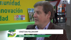 ¿Le pueden competir las 