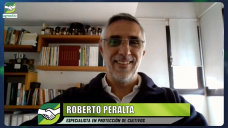 El especialista en plagas nos alerta sobre Picudo en Soja y Chicharrita en Maíz; con Roberto Peralta - agrónomo