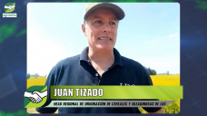 Todo sobre manejo integral de Camelina a campo con el equipo de LDC - Dreyfus; con Juan Tizado - agrónomo