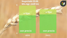 Trigo: a medida que la producción se achica, los precios siguen sumando valor, con Paulina Lescano - Clínica de Granos