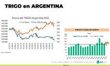 Trigo:  Mejora externa en precios, pero empezó la cosecha, ¿rindes?; con Lorena D´Angelo - Clínica de Granos