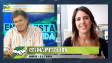 Cómo pega en las decisiones de la gruesa el Informe del USDA; con Celina Mesquida - R.J. O´Brien