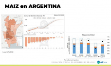 Maíz: Buenas siembras del maíz temprano con precios favorables; con Lorena D´Angelo - Clínica de Granos