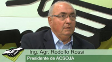 TV: ¿Qué pasaría si bajamos 4 Mill Has de Soja y aumentamos Maíz, Trigo y Sorgo?; con R. Rossi - ACSoja