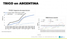 Trigo: sin cepo los precios no subieron; con Lorena D´Angelo - Clínica de Granos