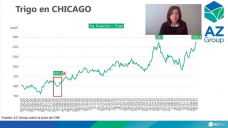 Trigo: 