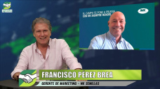 Secretos para un Maíz con buenos márgenes en un año con perfiles cargados; con Paco Pérez Brea - NK