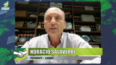Los productores se preguntan, ¿hay transparencia en el precio de los Granos?; con H. Salaverri - Pte. Carbap