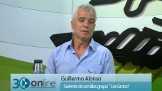 30 online B1: ¿Conviene comprar ahora insumos de maíz y soja o esperamos a más adelante?; con G. Alonso