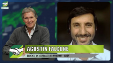 Precauciones y control de malezas en Trigo y Cebada en año lluvioso; con Agustín Falcone - BASF