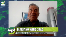 Casos de Productores que metieron 5ta A FONDO en la nueva Argentina de Milei; con Mariano Winograd - agrónomo