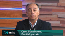 ¿Cómo salir a cazar en la oscuridad si no te asustaron las PASO?; con Carlos Marín Moreno