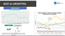 Sube el Maíz y bajan los insumos, ¿qué esperamos para sembrar?; con Lorena D´Angelo - Clínica de Granos