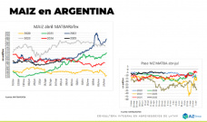 Maíz: ¿las recientes lluvias cambian las decisiones de siembra?; con Lorena D´Angelo - Clínica de Granos