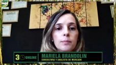 ¿Cómo mejorar los márgenes pese a la caída de precios de los Granos?; con Mariela Brandolín - mercados 