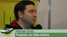 TV: ¿Cómo reconocer un buen azafrán? Un productor de Catamarca te lo cuenta