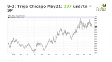 Trigo: Mercado internacional va y viene, pero sin encontrar una direccion clara, con Paulina Lescano - Clínica de Granos