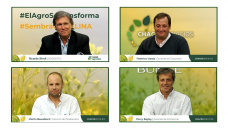El agro se transforma: todo sobre el cultivo de Camelina, sus beneficios agronómicos y comerciales 