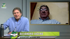 Aumento de consumo de Yerba mate y nuevos hábitos en pandemia, con Alejandro Lucero - INYM