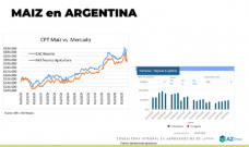 Maíz: baja menos que la soja; con Lorena D´Angelo - Clínica de Granos