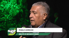¿Donde están los límites a la volatilidad de precios en maíz y soja?; con Pablo Adreani