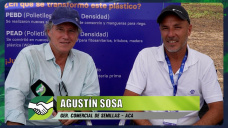 Todo lo nuevo en Semillas de Maíz y genética de ACA; con Agustín Sosa - agrónomo