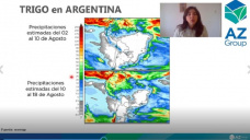 Trigo: 