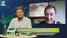 Cómo planifica equipos y rentabilidad un Productor de alta tecnología; con F. Rojas Panelo - agrónomo