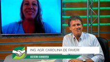 El desafío de administrar excedentes FORRAJEROS y ganar Kg en Ganadería; con Carito De Faveri