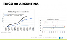 Trigo: ¿Tanta humedad permitirá sembrar bien?; con Lorena D´Angelo - Clínica de Granos