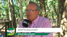 Indicadores concretos de un #BoomGanadero a campo; con M. Biscayart