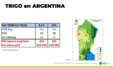 Trigo: Sin aumento de DEX, ¿cuánto se sembrará?; con Lorena D´Angelo - Clínica de Granos