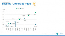 Continúa la cosecha de Trigo pero no se registran negocios, ¿oportunidades?, con Sofia Gayo - Clínica de Granos