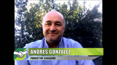 Produciendo novillito 4 x 4 de invernada corta y altísima calidad; con Andrés González